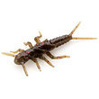 Stonefly 0.75